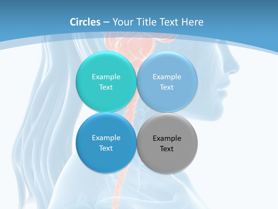Leaf Park Holding PowerPoint Template