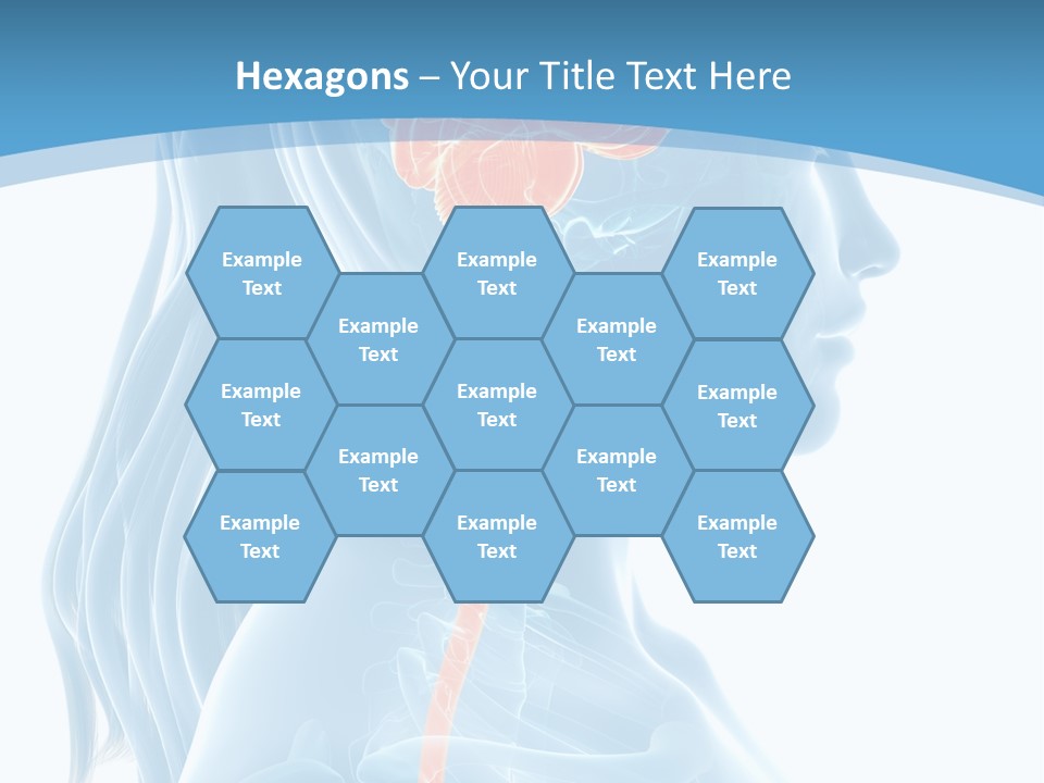 Leaf Park Holding PowerPoint Template