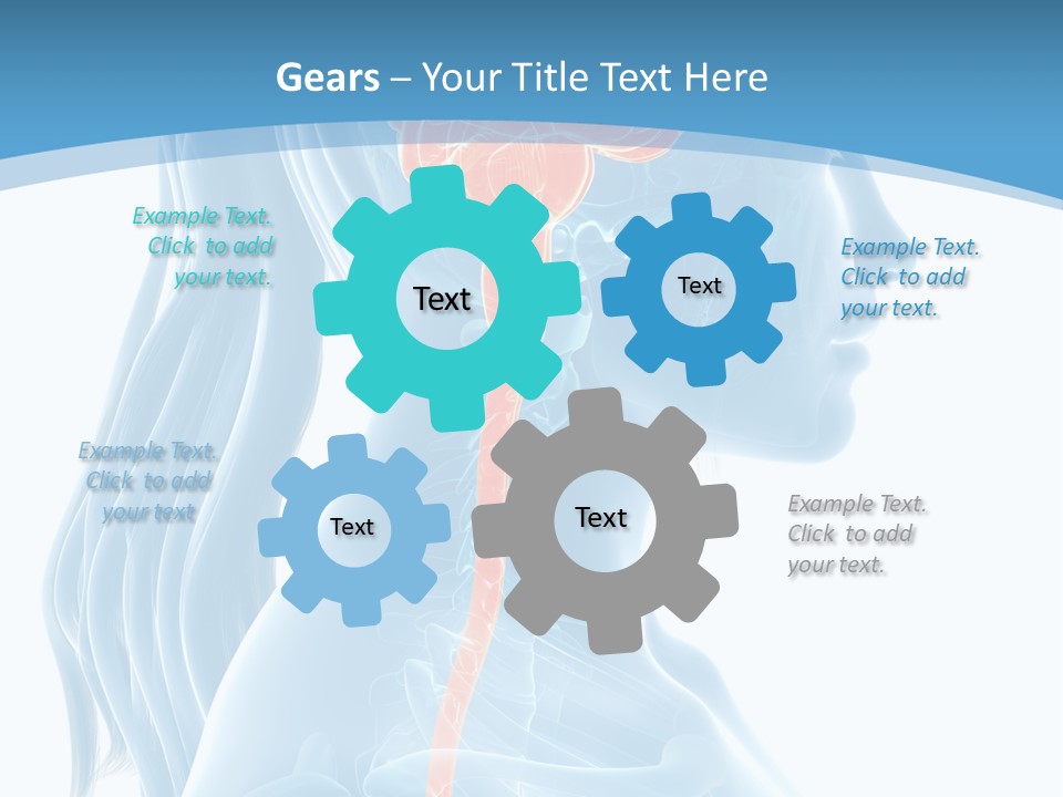 Leaf Park Holding PowerPoint Template