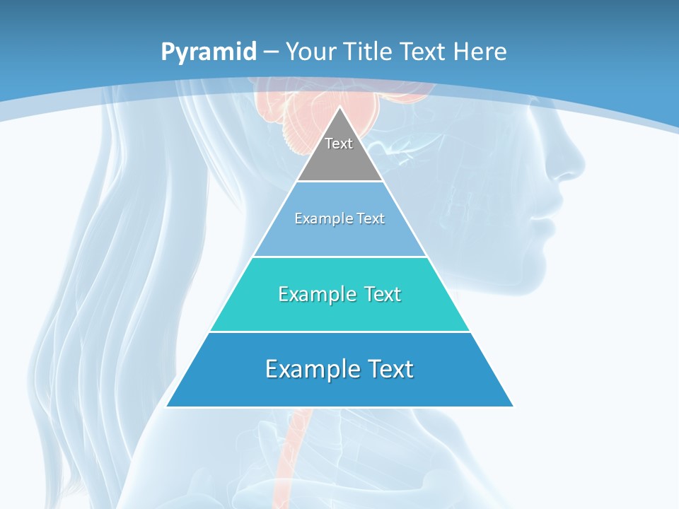 Leaf Park Holding PowerPoint Template