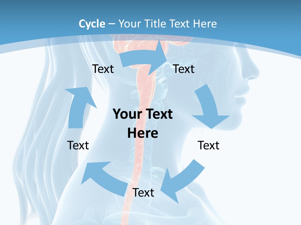 Leaf Park Holding PowerPoint Template