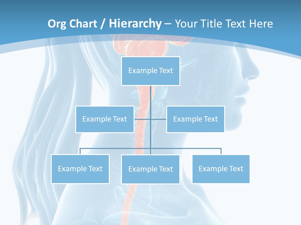 Leaf Park Holding PowerPoint Template