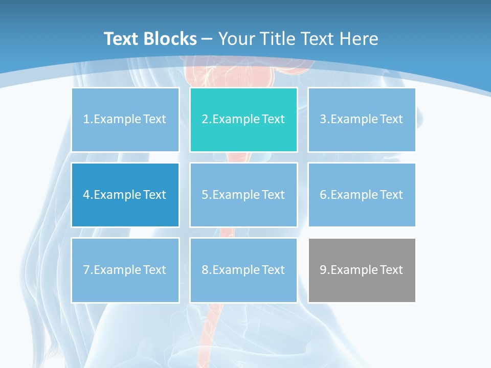 Leaf Park Holding PowerPoint Template