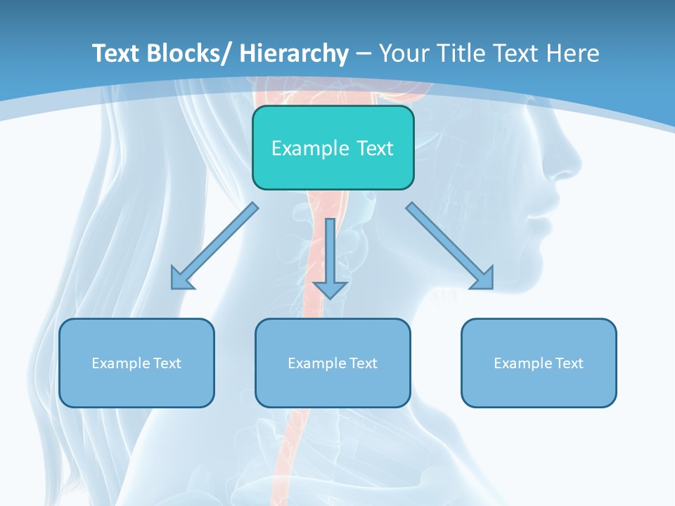 Leaf Park Holding PowerPoint Template