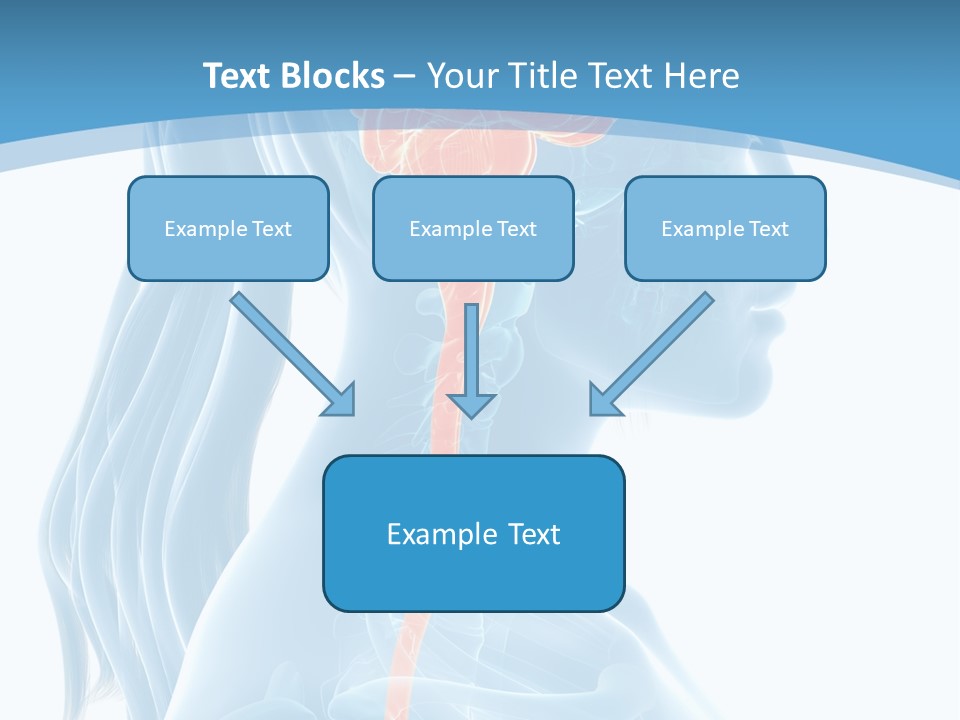 Leaf Park Holding PowerPoint Template