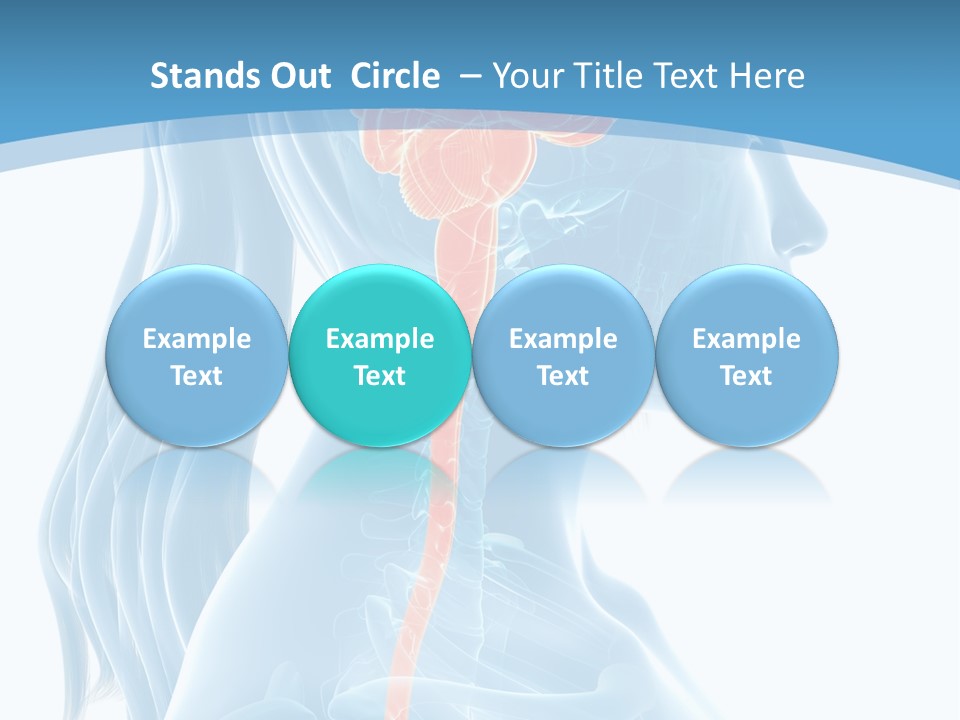 Leaf Park Holding PowerPoint Template