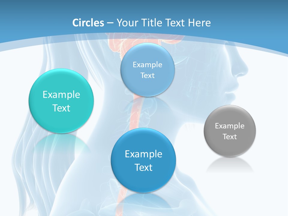 Leaf Park Holding PowerPoint Template