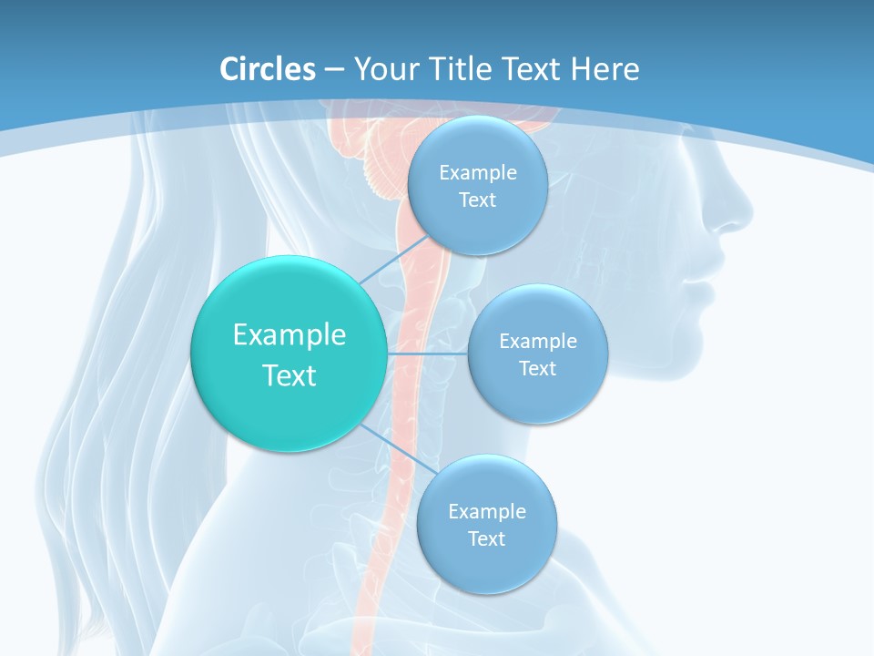 Leaf Park Holding PowerPoint Template