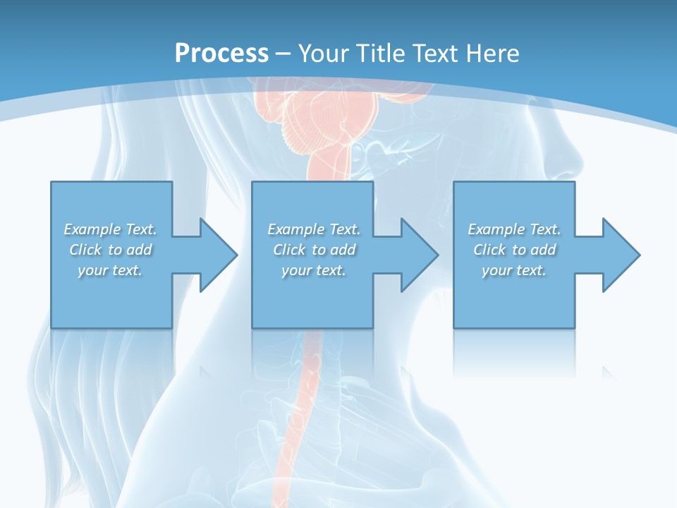 Leaf Park Holding PowerPoint Template