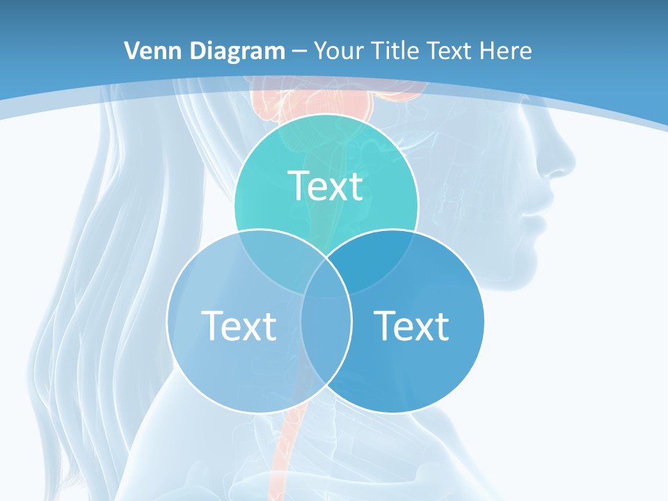 Leaf Park Holding PowerPoint Template
