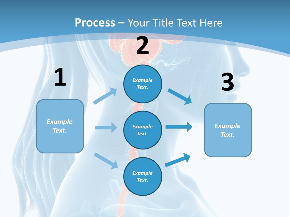 Leaf Park Holding PowerPoint Template