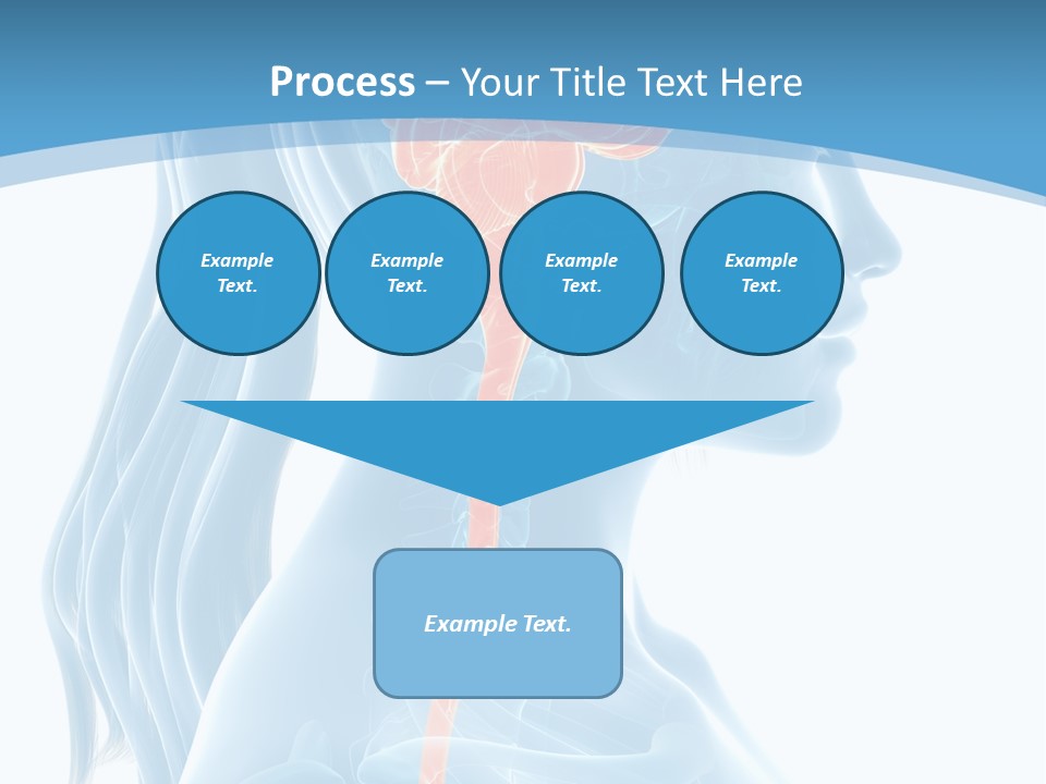Leaf Park Holding PowerPoint Template