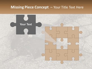 Home Dream Cloud PowerPoint Template