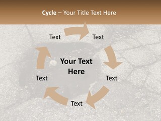 Home Dream Cloud PowerPoint Template