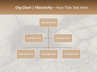 Home Dream Cloud PowerPoint Template