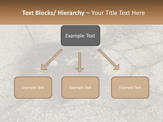Home Dream Cloud PowerPoint Template