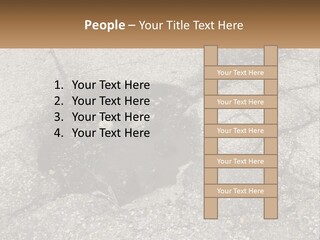 Home Dream Cloud PowerPoint Template