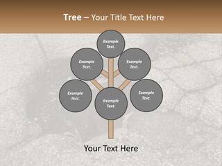 Home Dream Cloud PowerPoint Template