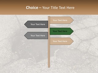 Home Dream Cloud PowerPoint Template