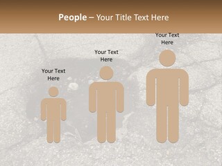 Home Dream Cloud PowerPoint Template