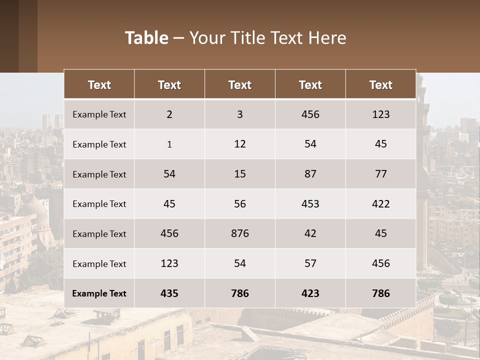 Holding House Investment PowerPoint Template