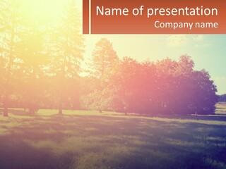 Investment Business Nature PowerPoint Template