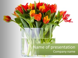 New Blue Sky Garden PowerPoint Template