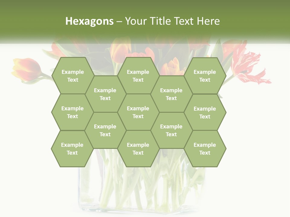 New Blue Sky Garden PowerPoint Template