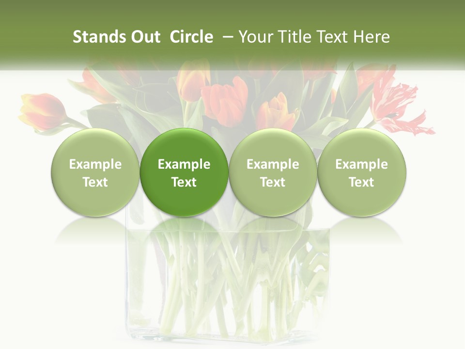 New Blue Sky Garden PowerPoint Template