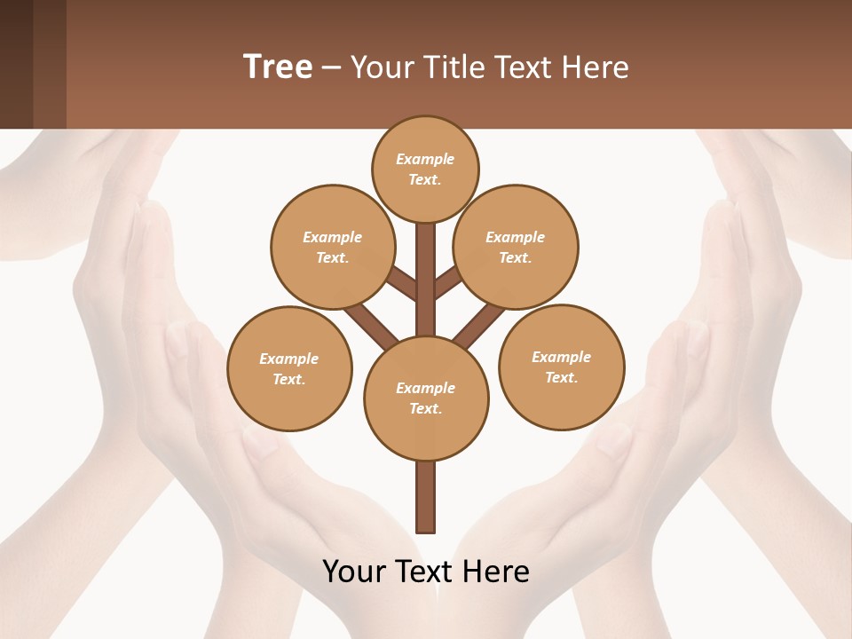 New Agent Property PowerPoint Template