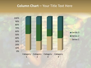 Agent Lawn Architect PowerPoint Template