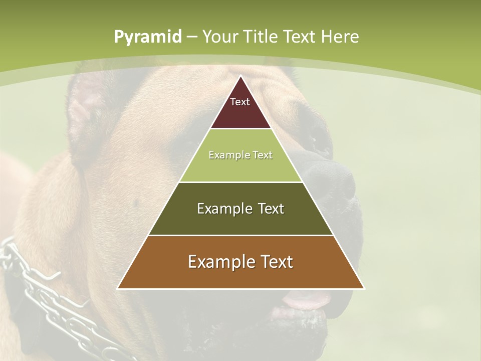 Nature Purchase Cloud PowerPoint Template
