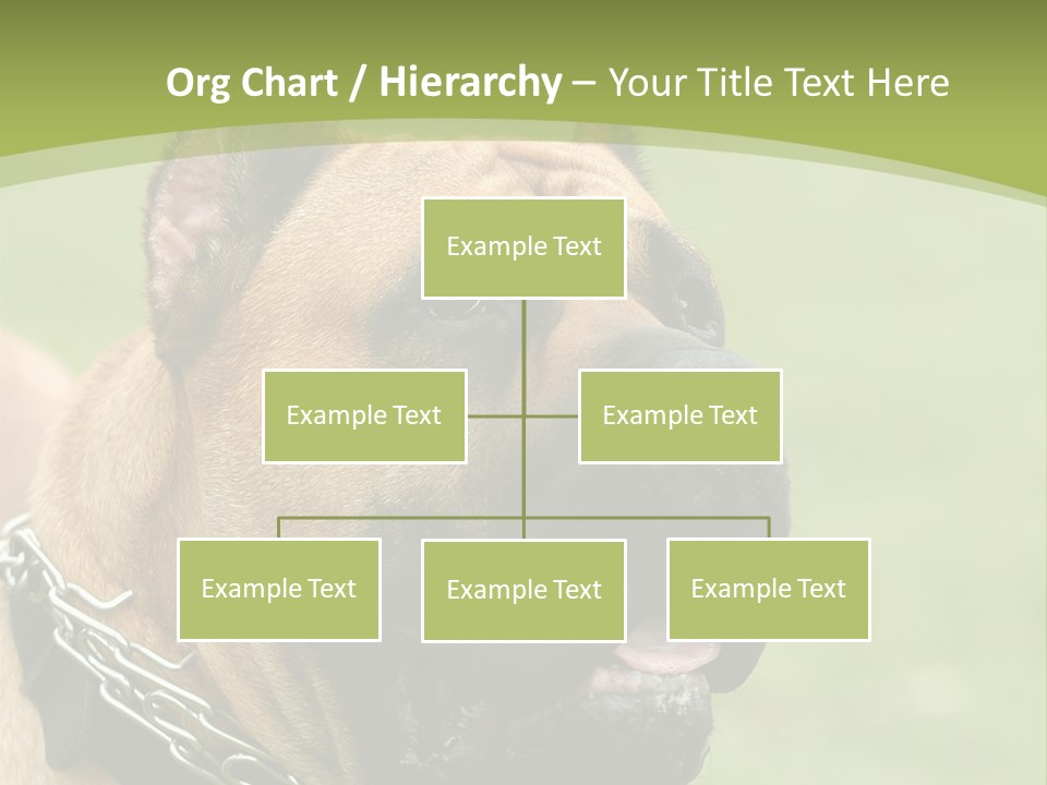 Nature Purchase Cloud PowerPoint Template