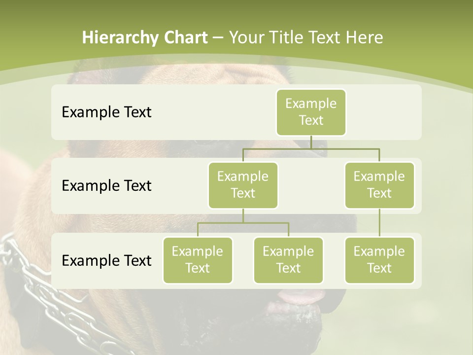 Nature Purchase Cloud PowerPoint Template