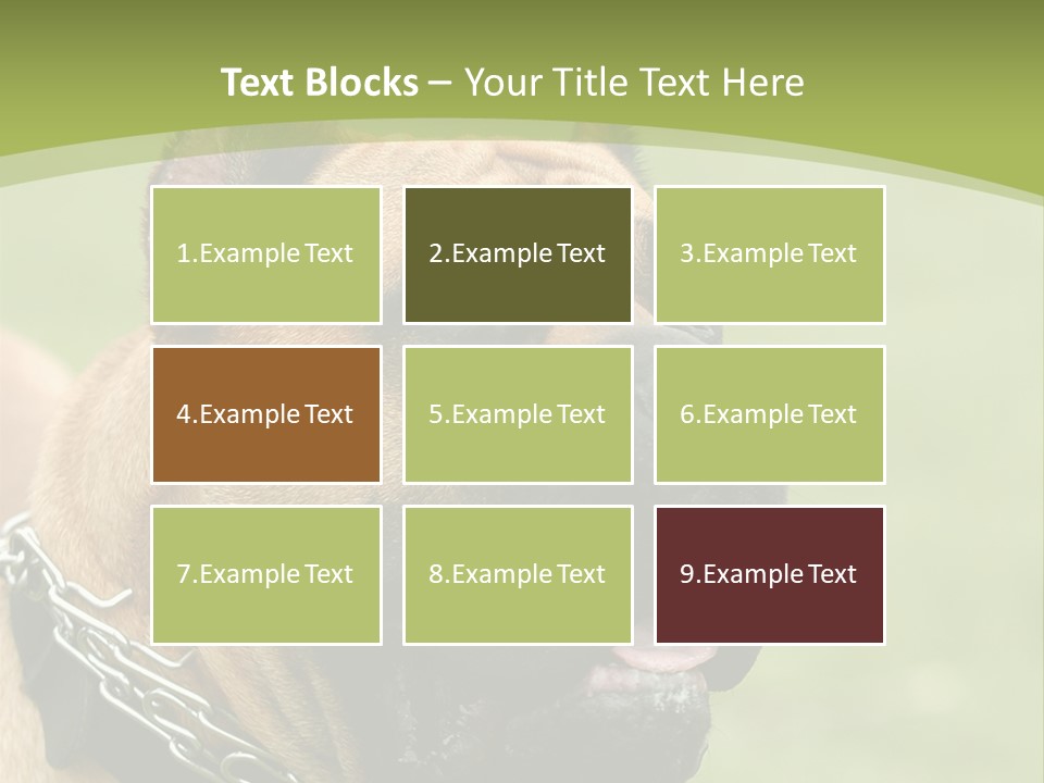 Nature Purchase Cloud PowerPoint Template