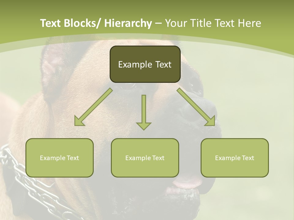Nature Purchase Cloud PowerPoint Template