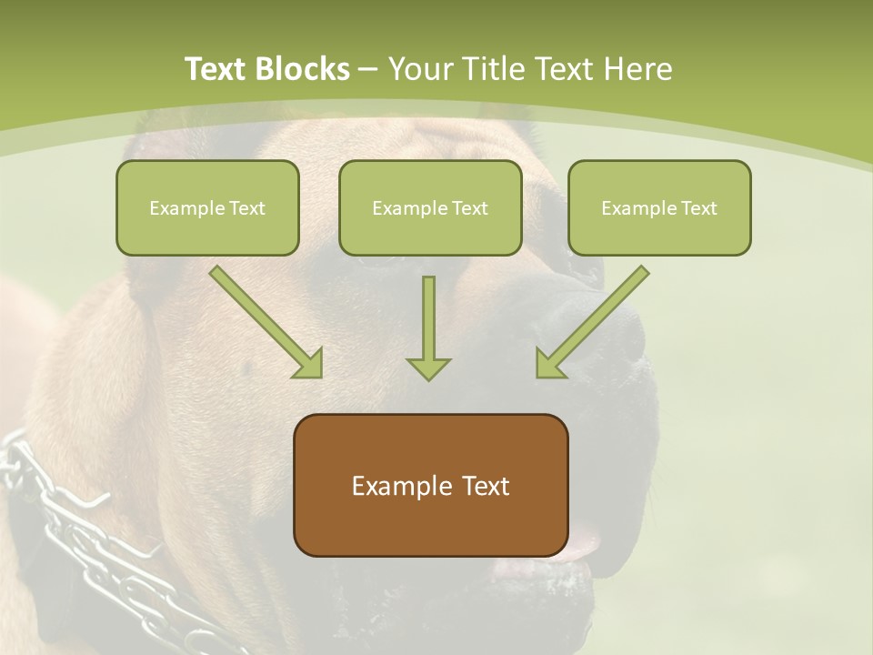 Nature Purchase Cloud PowerPoint Template