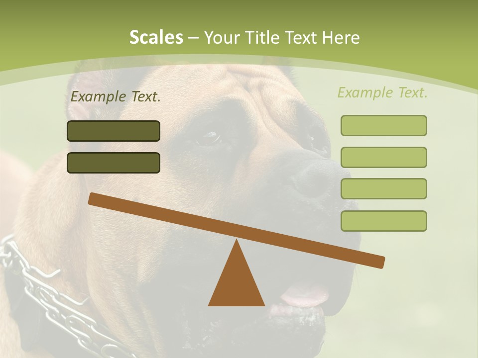 Nature Purchase Cloud PowerPoint Template