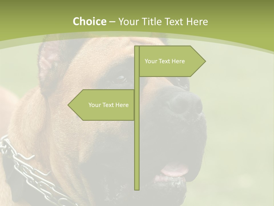Nature Purchase Cloud PowerPoint Template