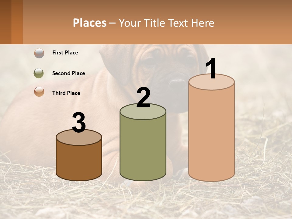 Buy Garden Sky PowerPoint Template