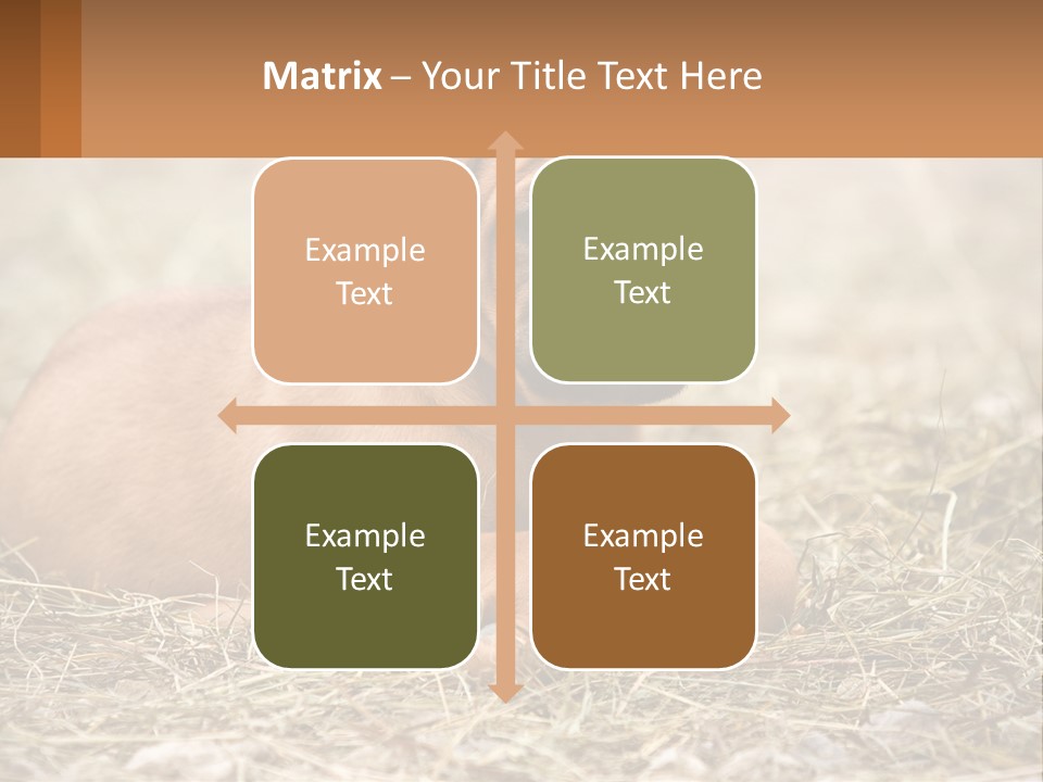 Buy Garden Sky PowerPoint Template