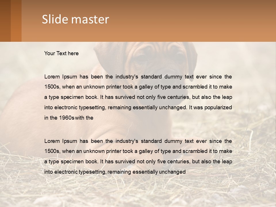 Buy Garden Sky PowerPoint Template