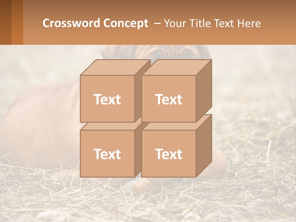 Buy Garden Sky PowerPoint Template