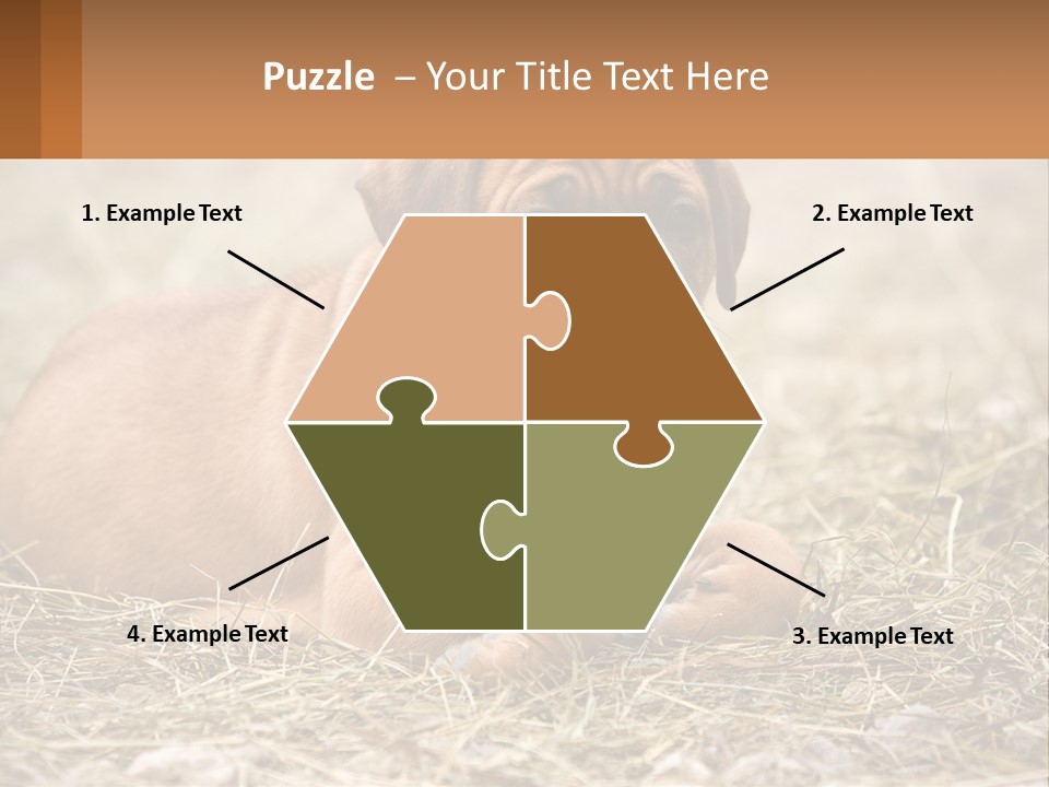 Buy Garden Sky PowerPoint Template