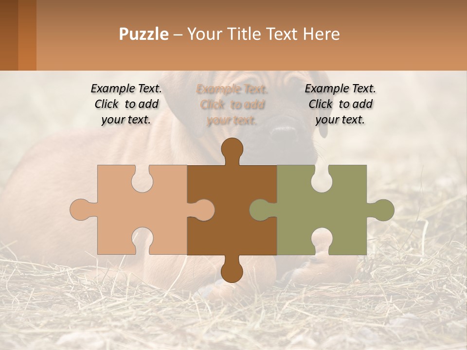 Buy Garden Sky PowerPoint Template