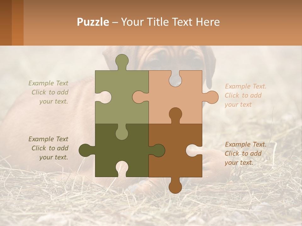 Buy Garden Sky PowerPoint Template