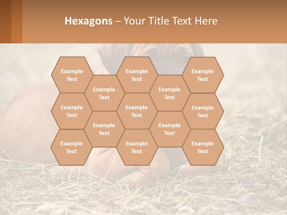 Buy Garden Sky PowerPoint Template