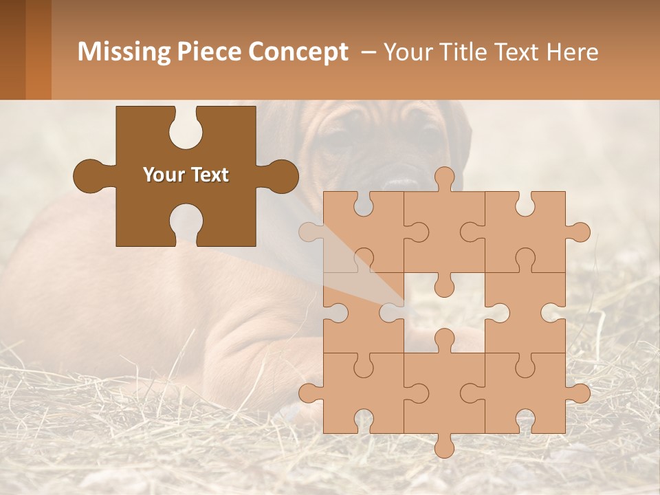 Buy Garden Sky PowerPoint Template