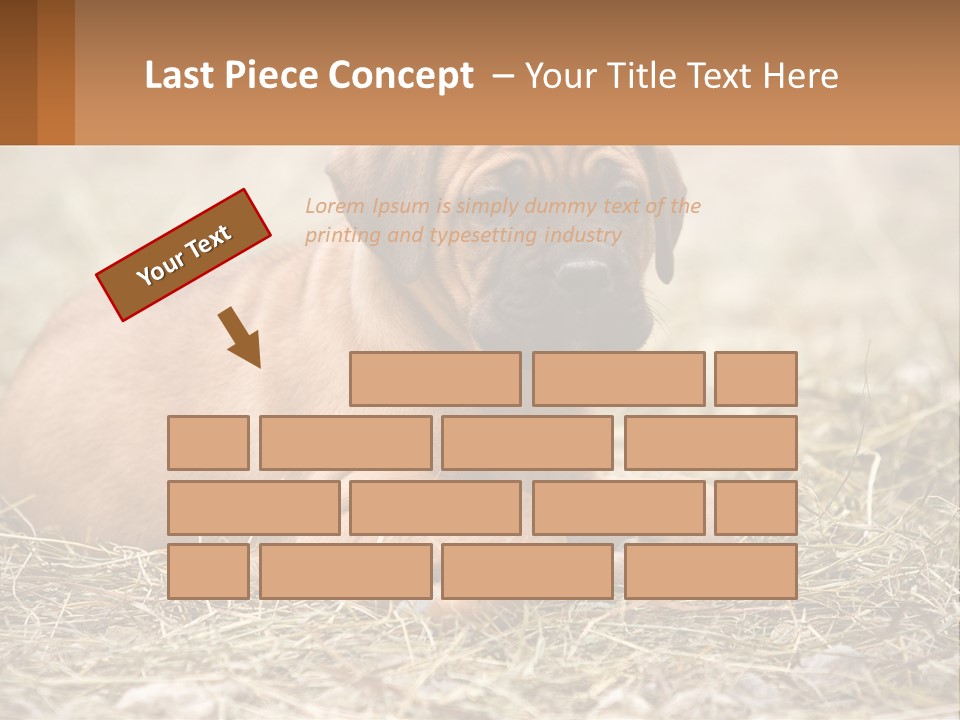 Buy Garden Sky PowerPoint Template