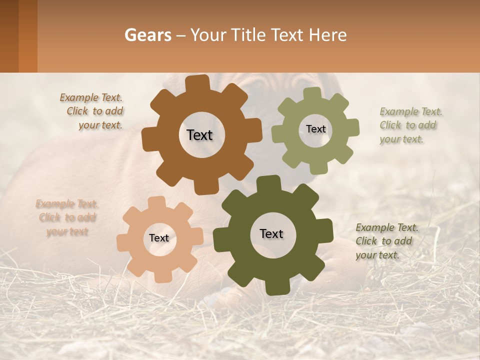 Buy Garden Sky PowerPoint Template